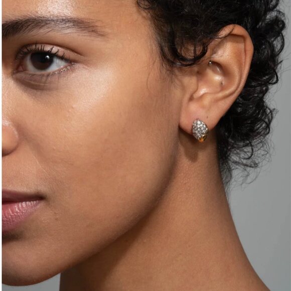 Alexis Bittar Solanales Crystal Pebble Stud Earrings - Picture 1 of 4